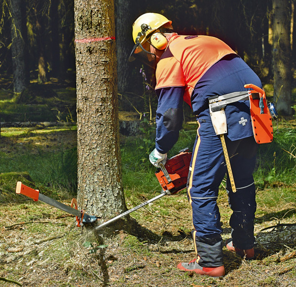 Alzapacchi da abbattimento Bahco 130 cm"