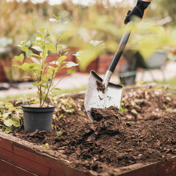 Fiskars D-Griff Gärtnerspaten