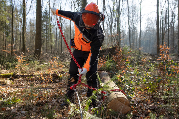 Informazione prodotto "Catena girocollo Nordforest con gancio ad anello e perno passante"