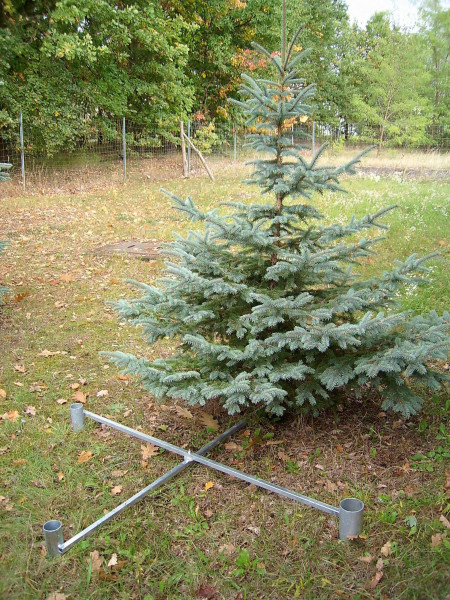 Stand di presentazione albero di Natale per 4 alberi di Natale