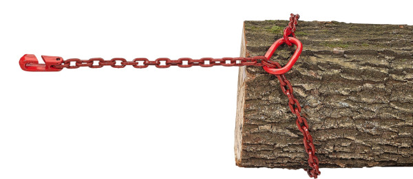 Nordforest Vierkant-Chokerkette Hunsrück