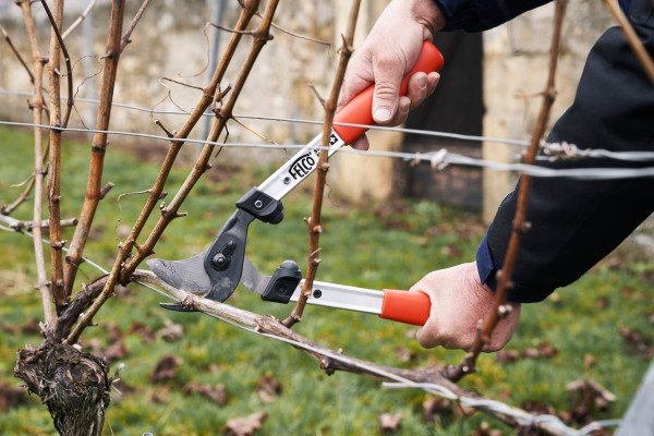 Felco Astschere 211-40